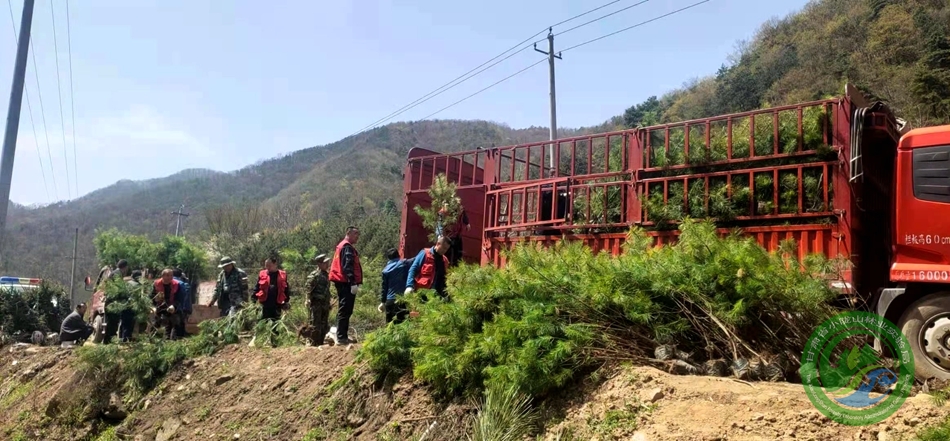 移山林场绿色新模式探索项目启动