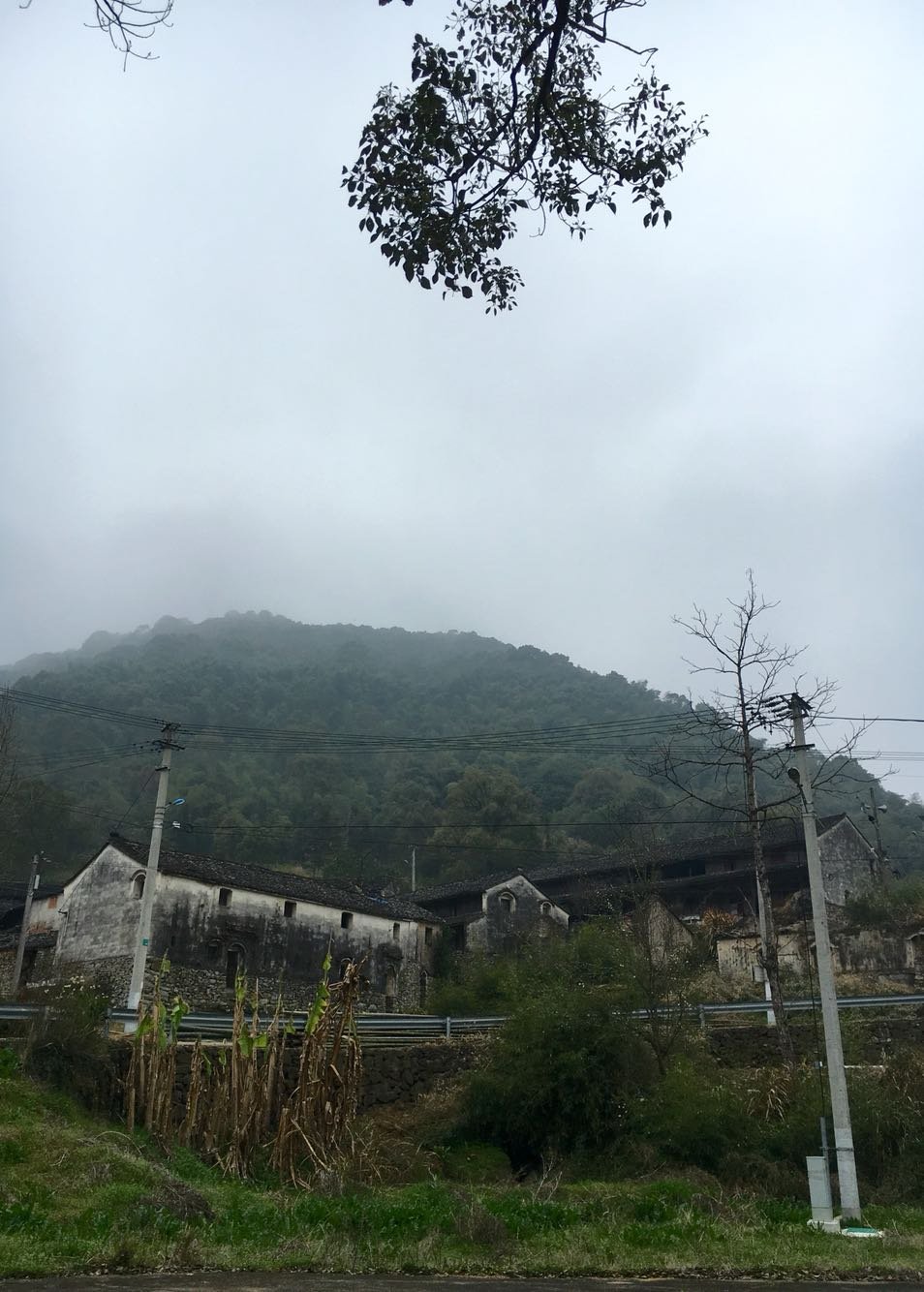 龙井乡天气预报更新通知