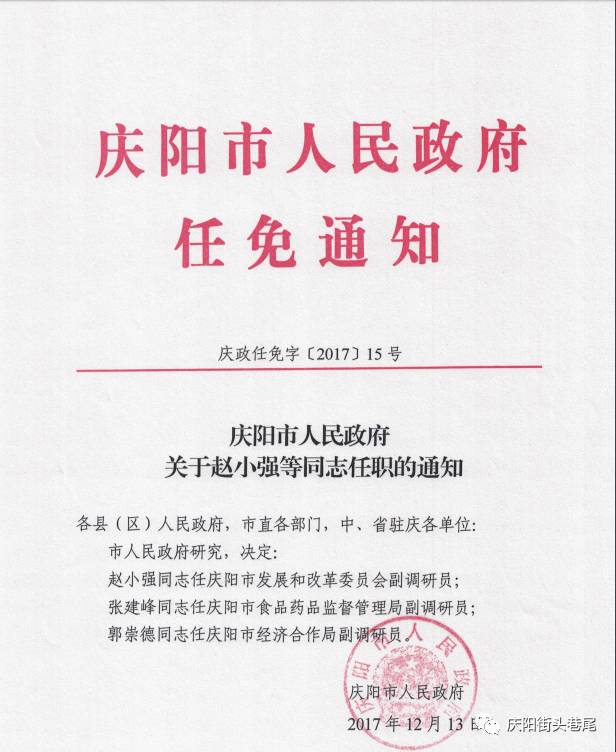 牧野区民政局人事任命揭晓，区域民政事业迎新发展篇章