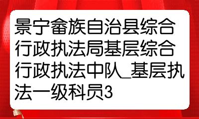 景宁畲族自治县司法局招聘启事详解