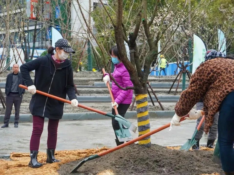 苗圃街道新项目的生态重塑与社区活力提升计划