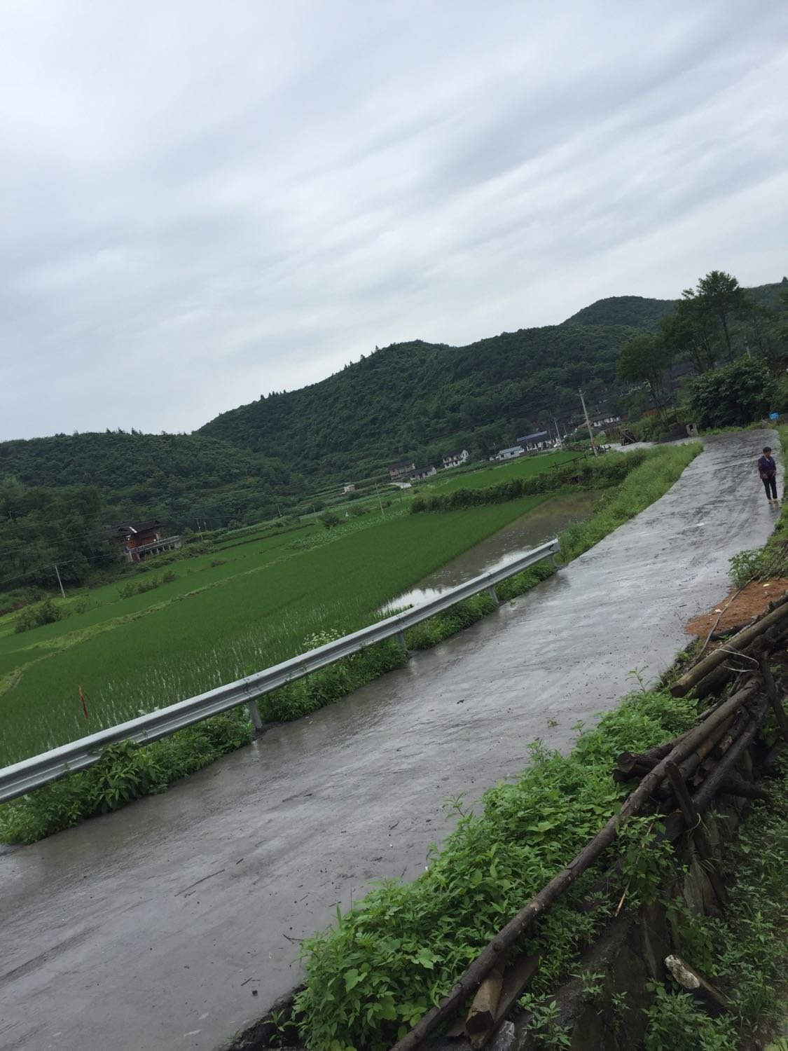 高望界乡天气预报更新通知