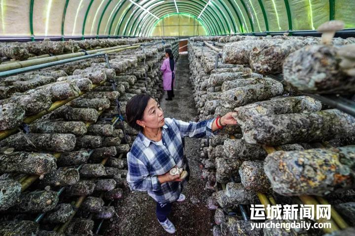 山西省运城市垣曲县华峰乡最新项目，乡村振兴与区域发展新篇章启动