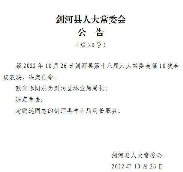 大河乡人事任命揭晓，引领未来，共筑发展新篇章