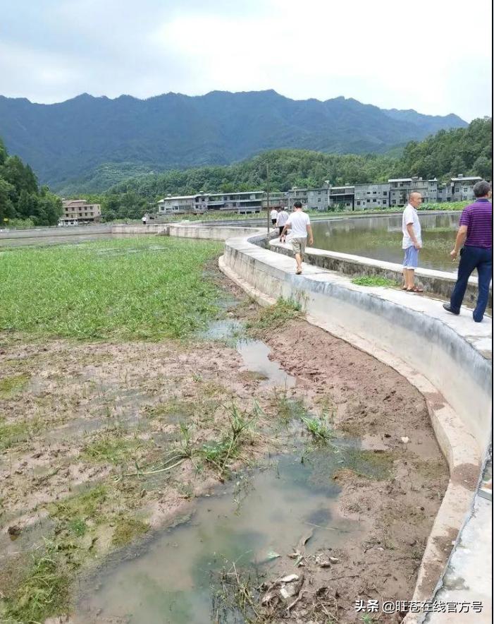 普子岭社区最新资讯简报