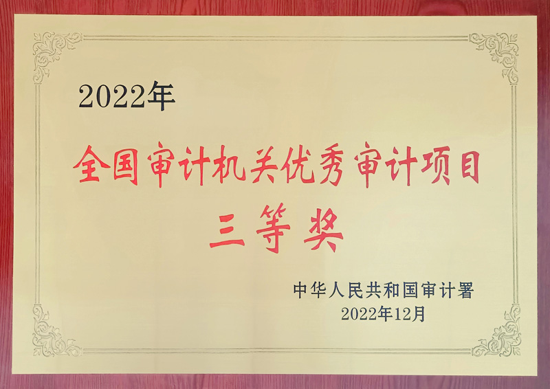 清浦区审计局最新项目深度解析报告发布