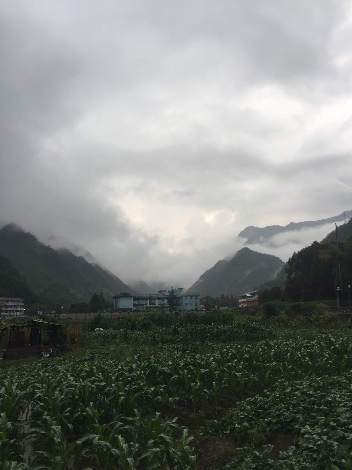 下亚如村天气预报更新通知