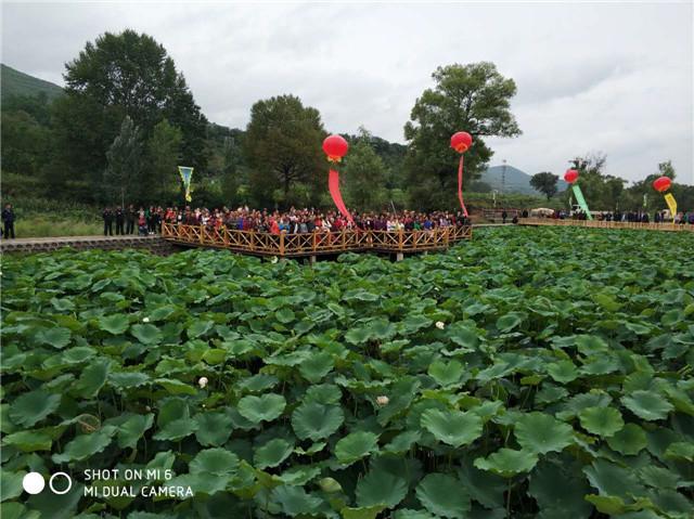 盘克林场迈向绿色繁荣新时代的最新发展规划