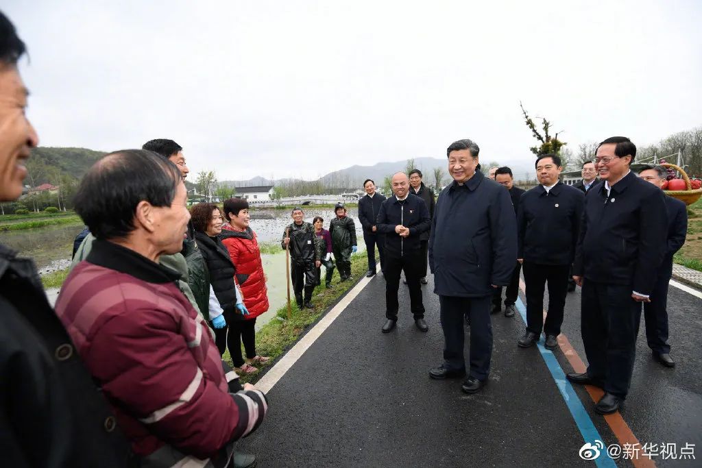 细水河村委会最新动态报道