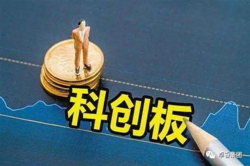 尼基什最新动态揭秘，未来无限可能性展望