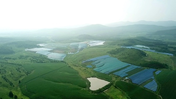 双鸭山林业局七星河林场天气预报更新通知