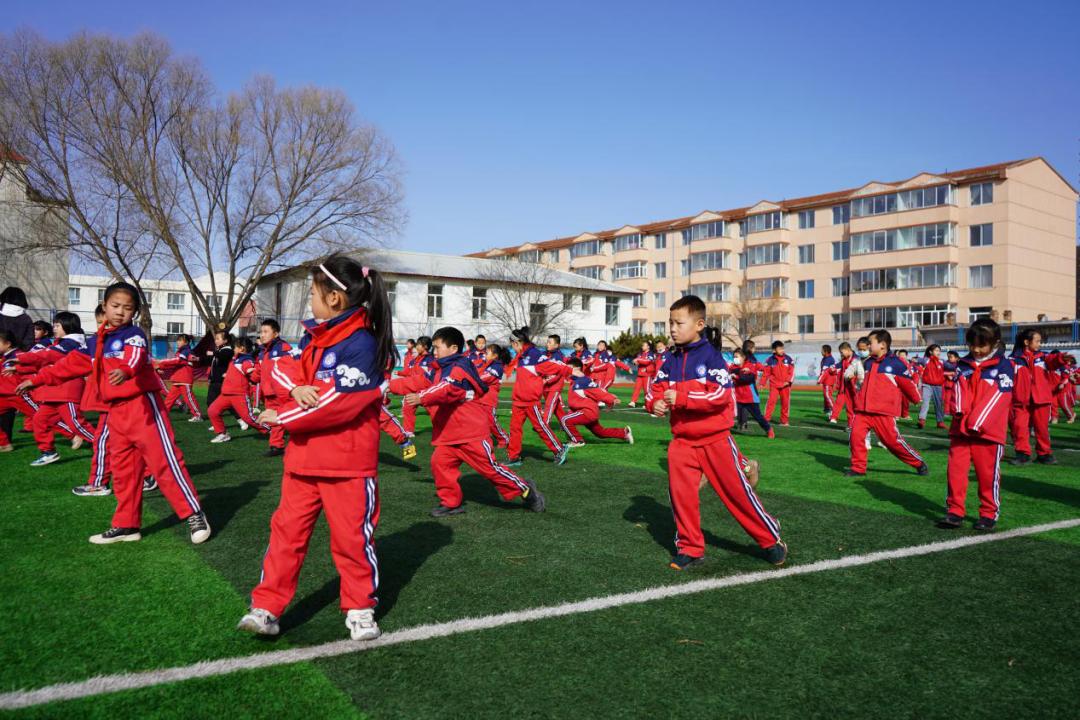 和林格尔县小学最新动态报道