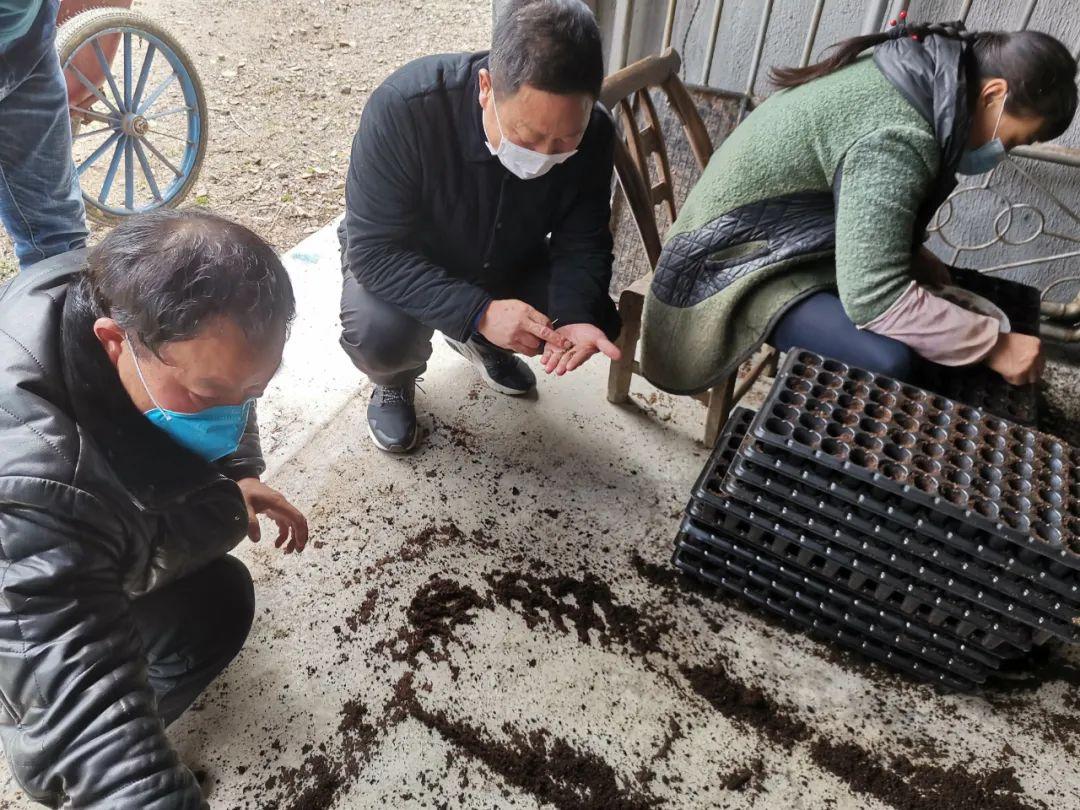 安家湾村委会最新招聘概览