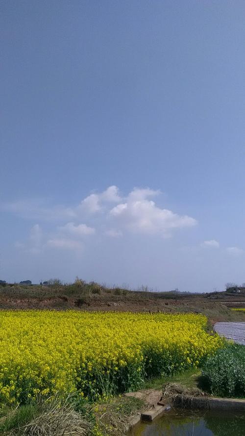 银河乡天气预报更新通知