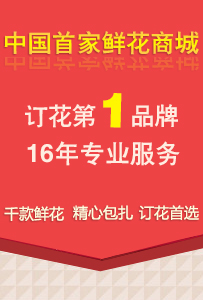 二十铺村民委员会最新招聘信息全面解析