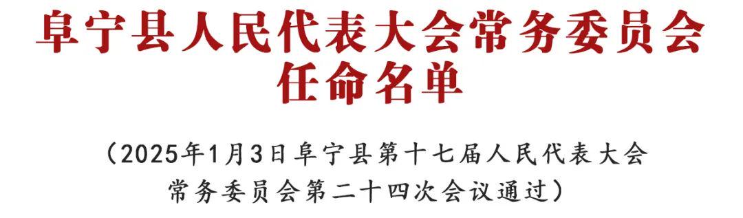 大丰市人民政府办公室人事任命最新公告